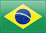 Português do Brasil